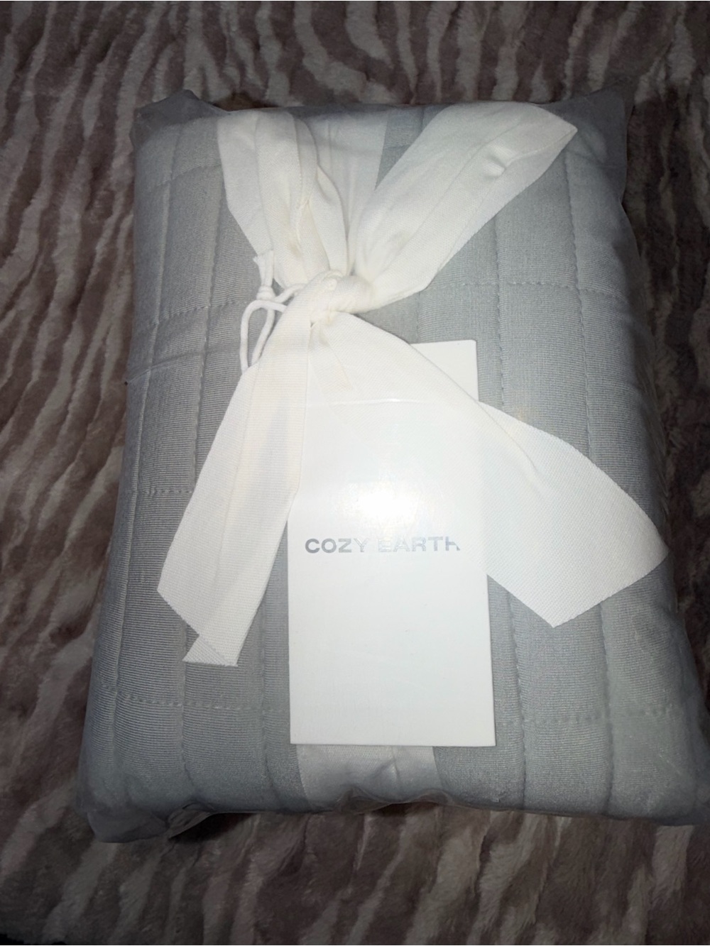 Cozy Earth Quilted Pillow Shama set of 2- Soft Light Gray Home Bedding